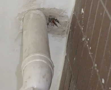 朔州市漏水检测哪家好